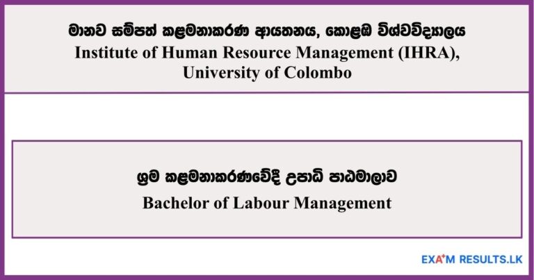 Bachelor of Labour Management