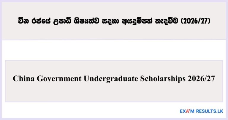 China Government Undergraduate Scholarships 2026/27