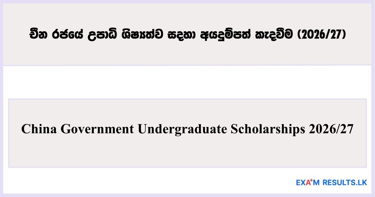 China Government Undergraduate Scholarships 2026/27