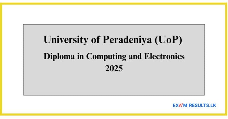 Diploma in Computing and Electronics 2025
