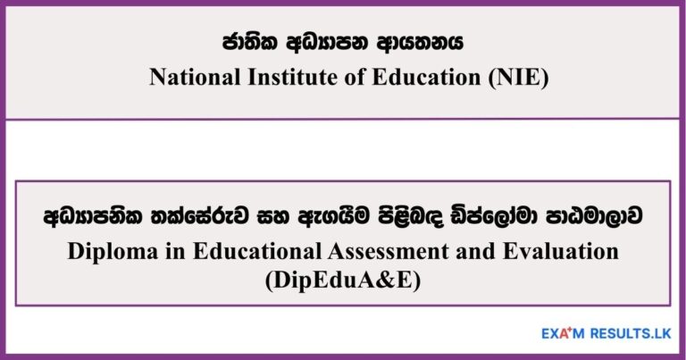 Diploma in Educational Assessment and Evaluation - National Institute of Education (NIE) 2025