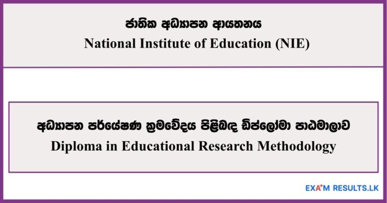 Diploma in Educational Research Methodology - National Institute of Education (NIE) 2025