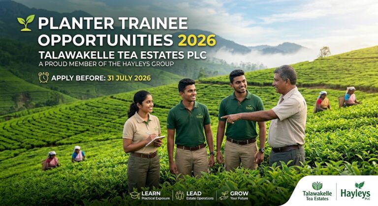 Talawakelle Tea Estates Planter Trainee Opportunities 2026