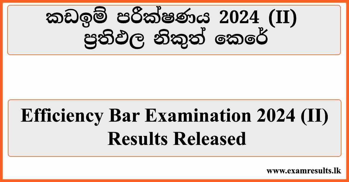 efficiency-bar-examination-2024-ii-results