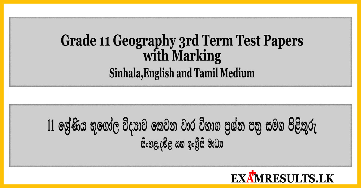grade 11,geography,3rd,term,test,papers