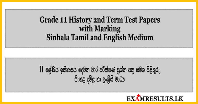 grade 11,history,2nd,term,test,paper