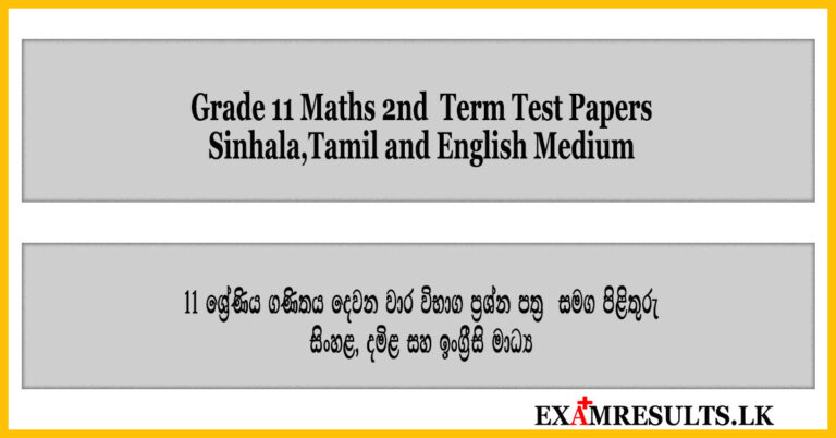 grade 11,maths,2nd,term,test,paper,with,marking