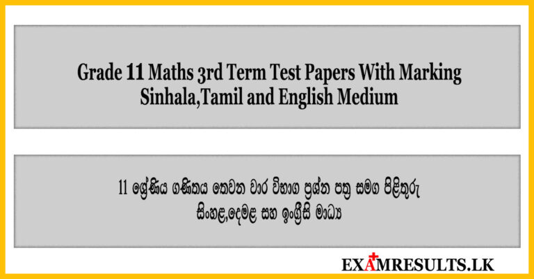 grade 11,maths,3rd,term,test,papers,examresults.lk