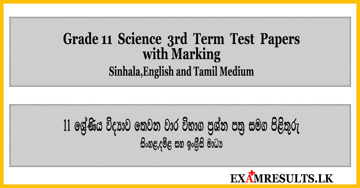 grade 11,science-3rd-term-test-papers-with-marking