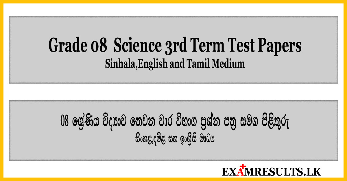 grade 08,science,3rd,term,test,papers