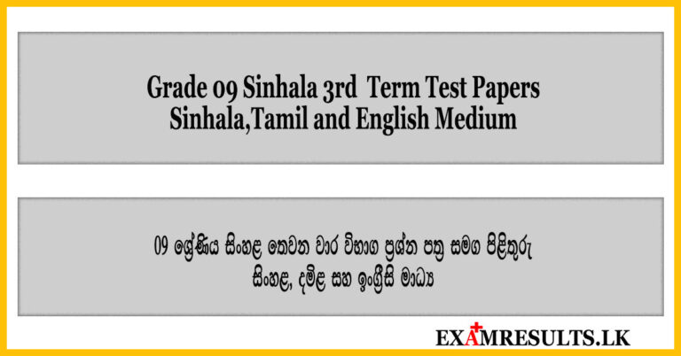 grade 9,sinhala-language,3rd,term,test,paper